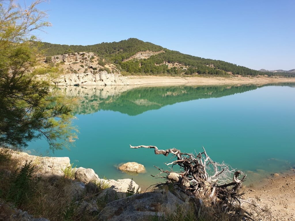 WhatsApp Image 2024-07-08 at 17.08.04